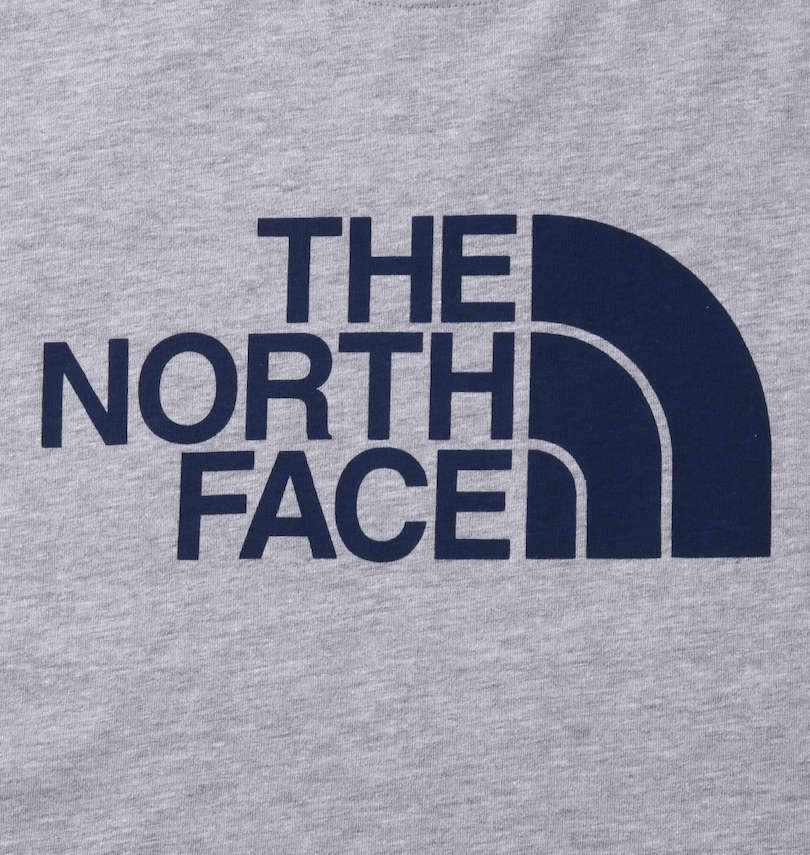 大きいサイズ メンズ THE NORTH FACE (ザ・ノース・フェイス) 長袖Tシャツ プリント拡大