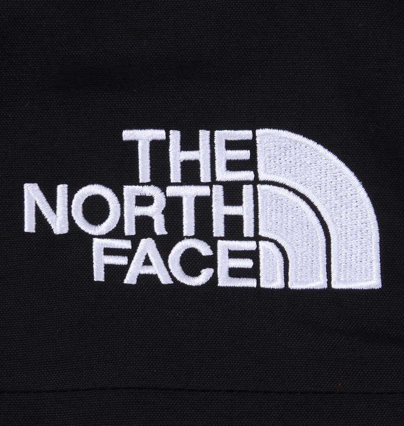大きいサイズ メンズ THE NORTH FACE (ザ・ノース・フェイス) ダウンジャケット 