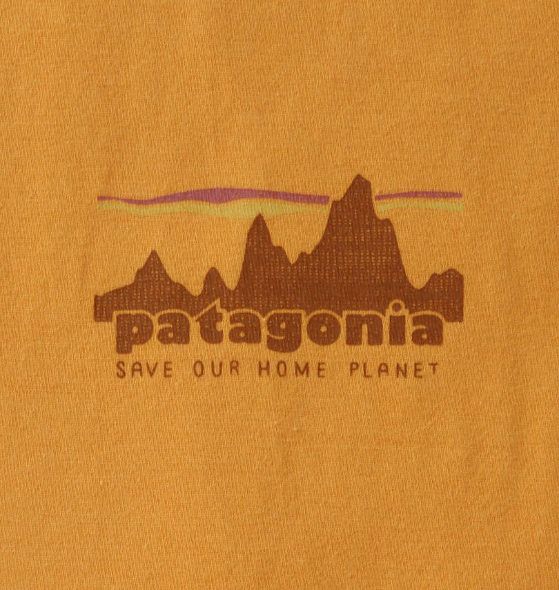 大きいサイズ メンズ PATAGONIA (パタゴニア) 半袖Tシャツ フロントプリント