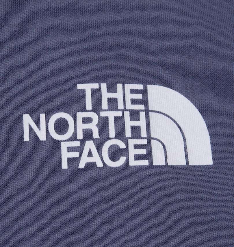 大きいサイズ メンズ THE NORTH FACE (ザ・ノース・フェイス) バックボックスロゴプルパーカー 胸プリント