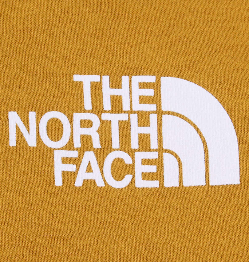大きいサイズ メンズ THE NORTH FACE (ザ・ノース・フェイス) フルジップパーカー プリント拡大