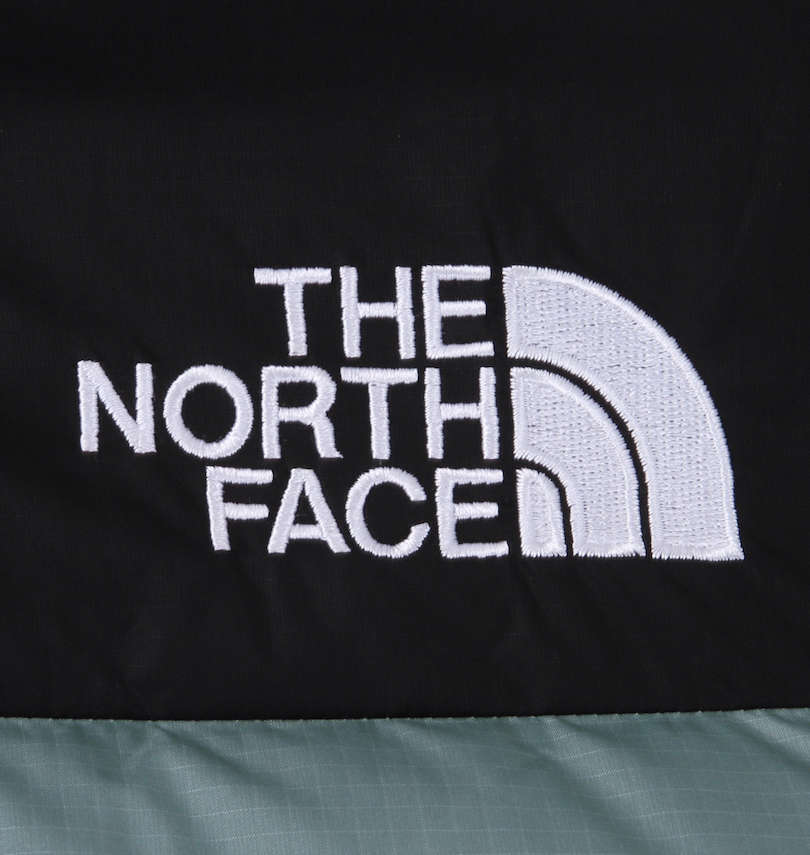 大きいサイズ メンズ THE NORTH FACE (ザ・ノース・フェイス) ダウンジャケット フロント刺繍