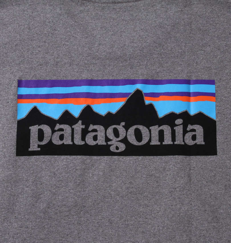 大きいサイズ メンズ PATAGONIA (パタゴニア) 半袖Tシャツ バックプリント
