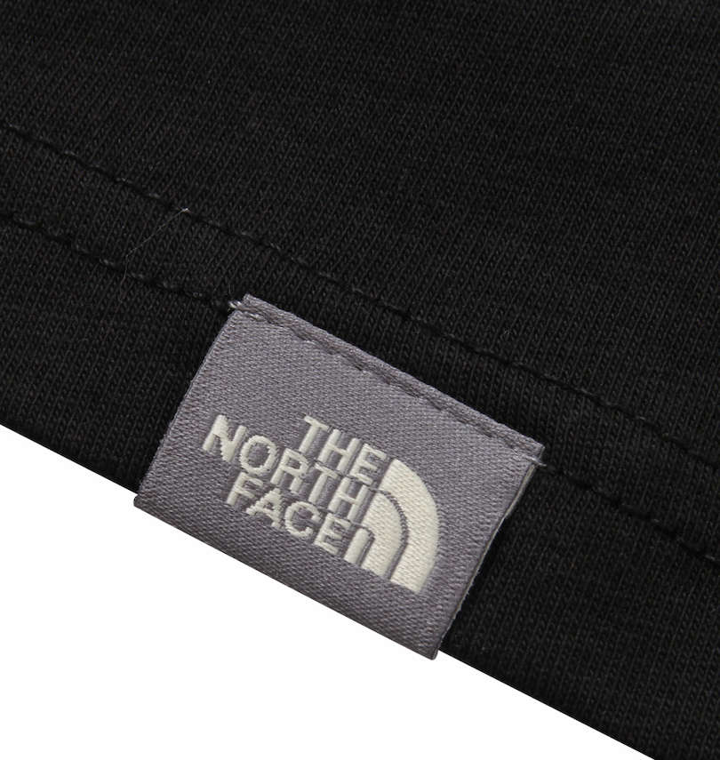 大きいサイズ メンズ THE NORTH FACE (ザ・ノース・フェイス) 半袖Tシャツ バック裾ピスネーム