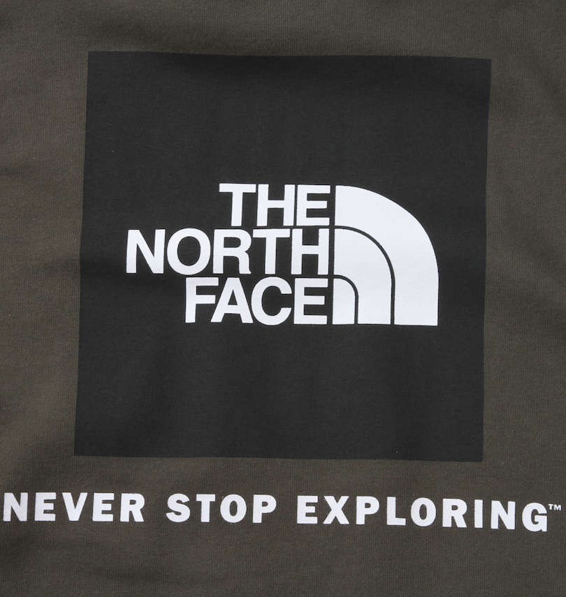 大きいサイズ メンズ THE NORTH FACE (ザ・ノース・フェイス) バックボックスロゴプルパーカー 