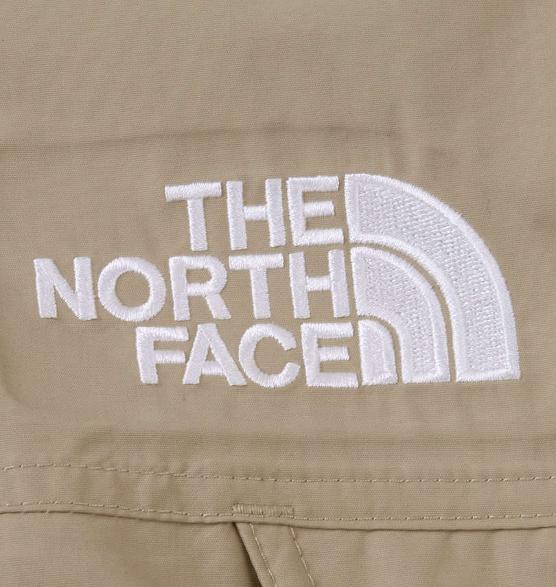 大きいサイズ メンズ THE NORTH FACE (ザ・ノース・フェイス) ダウンジャケット 刺繡