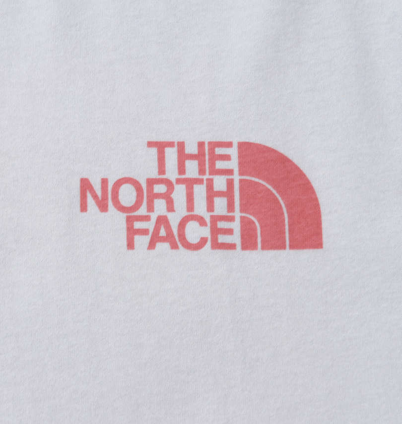 大きいサイズ メンズ THE NORTH FACE (ザ・ノース・フェイス) 半袖Tシャツ 胸プリント