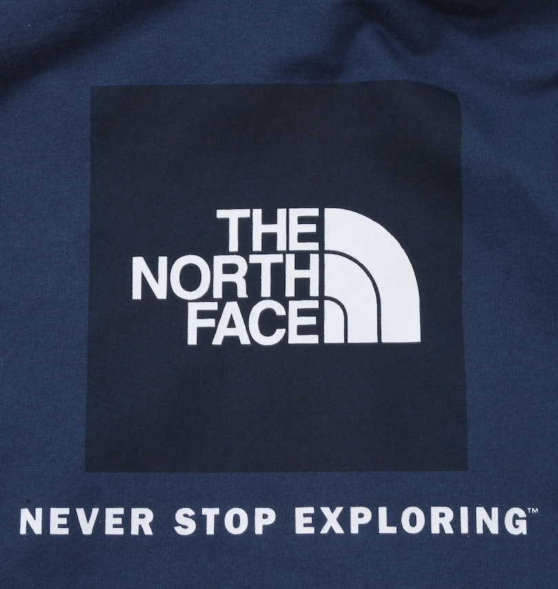 大きいサイズ メンズ THE NORTH FACE (ザ・ノース・フェイス) バックボックスロゴプルパーカー 