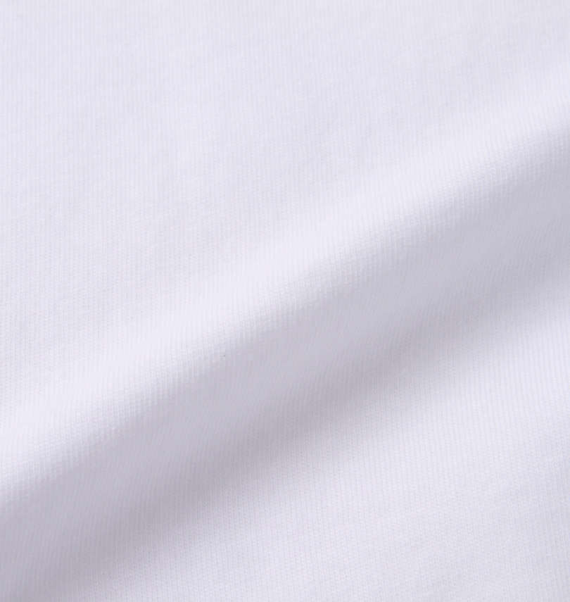 大きいサイズ メンズ RALPH LAUREN (ラルフローレン) 半袖Tシャツ 生地拡大