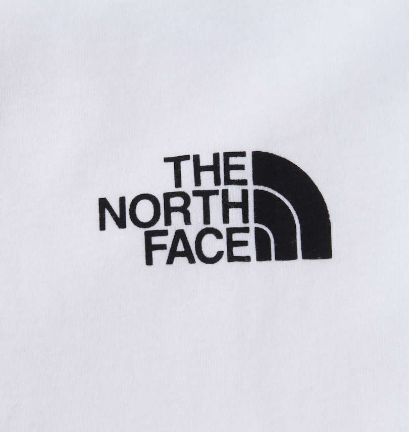 大きいサイズ メンズ THE NORTH FACE (ザ・ノース・フェイス) 半袖Tシャツ バックプリント