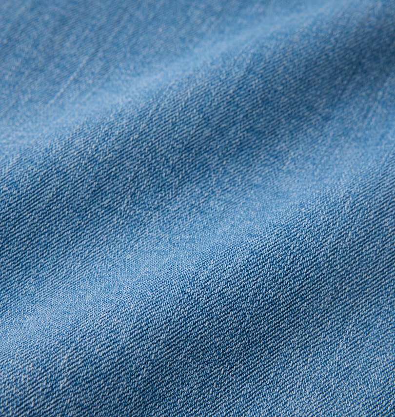 大きいサイズ メンズ DCSHOES (ディーシーシューズ) 23BIGカーゴパンツ
                        生地拡大