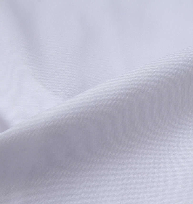 大きいサイズ メンズ HIROKO KOSHINO HOMME (ヒロココシノオム) レギュラーカラー半袖シャツ 生地拡大