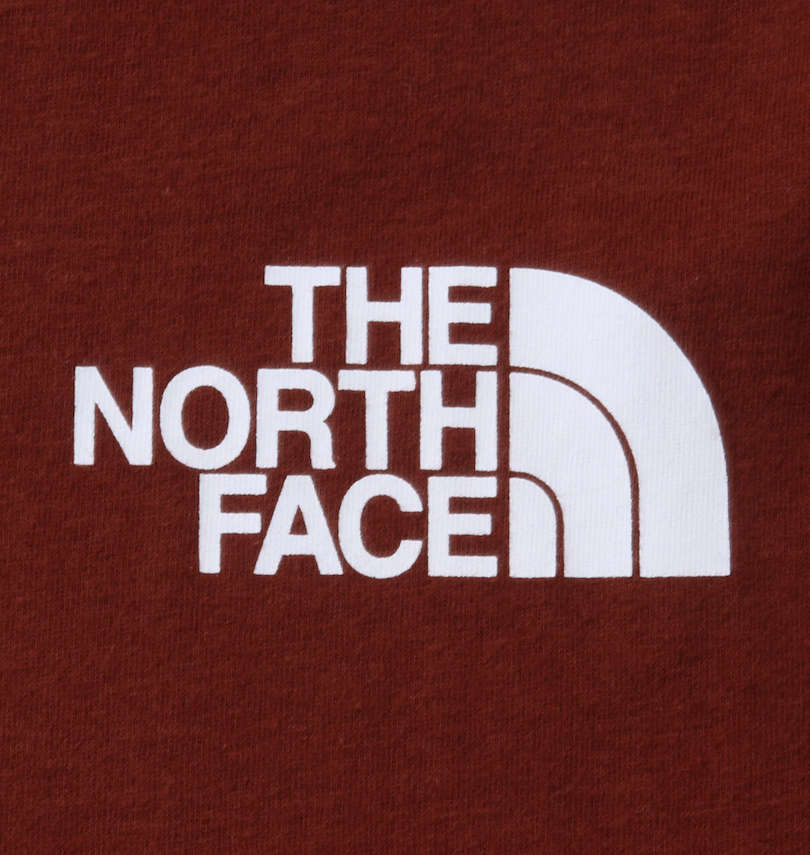 大きいサイズ メンズ THE NORTH FACE (ザ・ノース・フェイス) 長袖Tシャツ プリント拡大