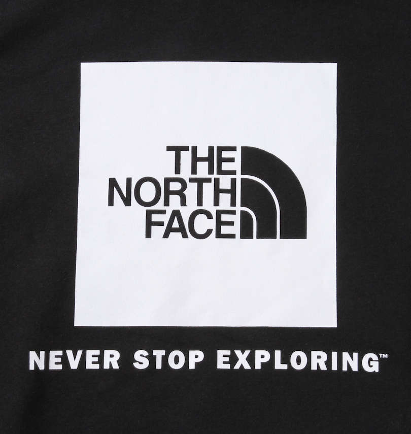 大きいサイズ メンズ THE NORTH FACE (ザ・ノース・フェイス) バックボックスロゴプルパーカー バックプリント