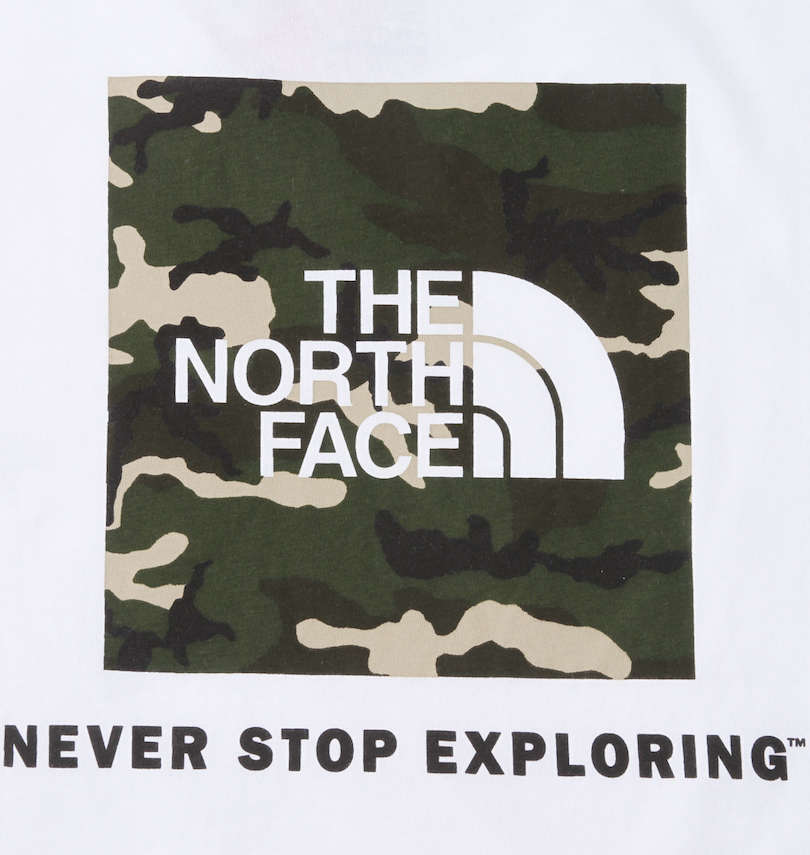 大きいサイズ メンズ THE NORTH FACE (ザ・ノース・フェイス) 半袖Tシャツ バックプリント