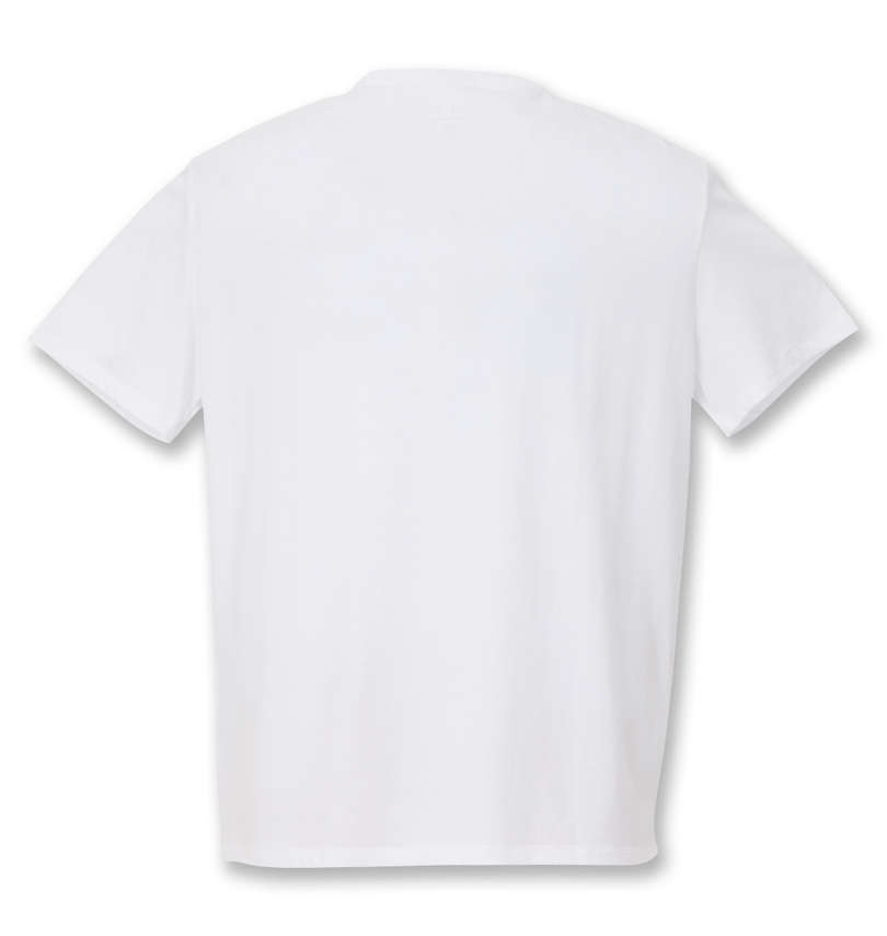 大きいサイズ メンズ ARMANI EXCHANGE (アルマーニエクスチェンジ) Tシャツ バックデザイン
