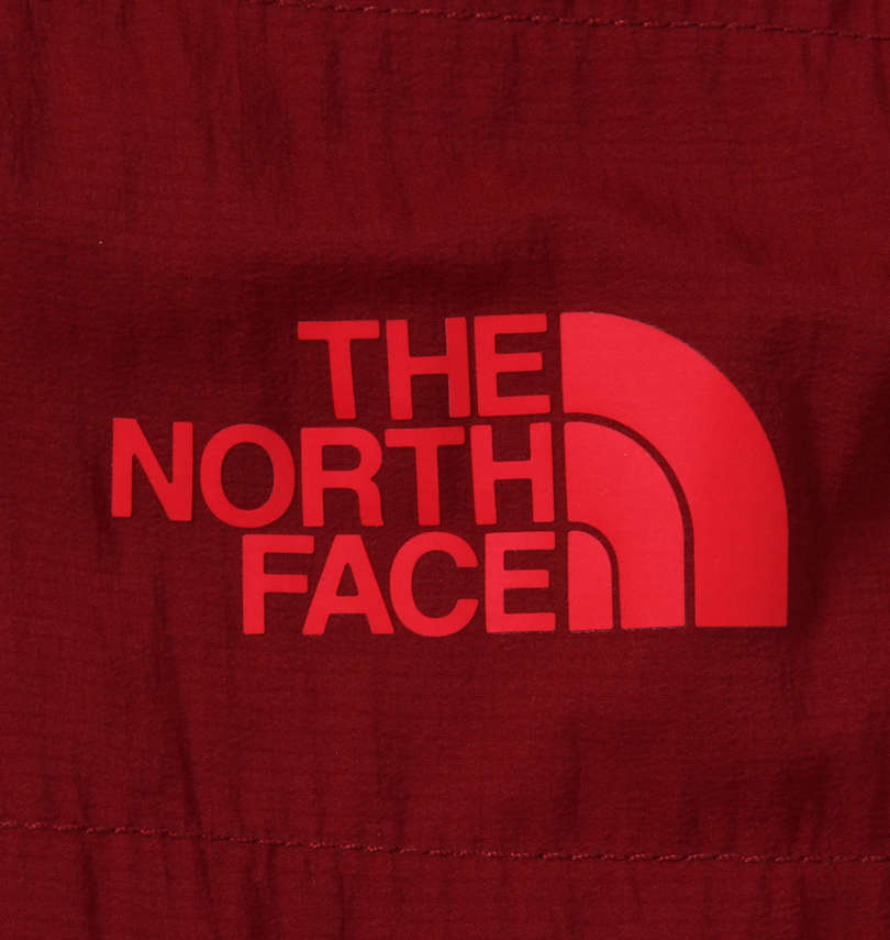 大きいサイズ メンズ THE NORTH FACE (ザ・ノース・フェイス) 中綿ジャケット プリント