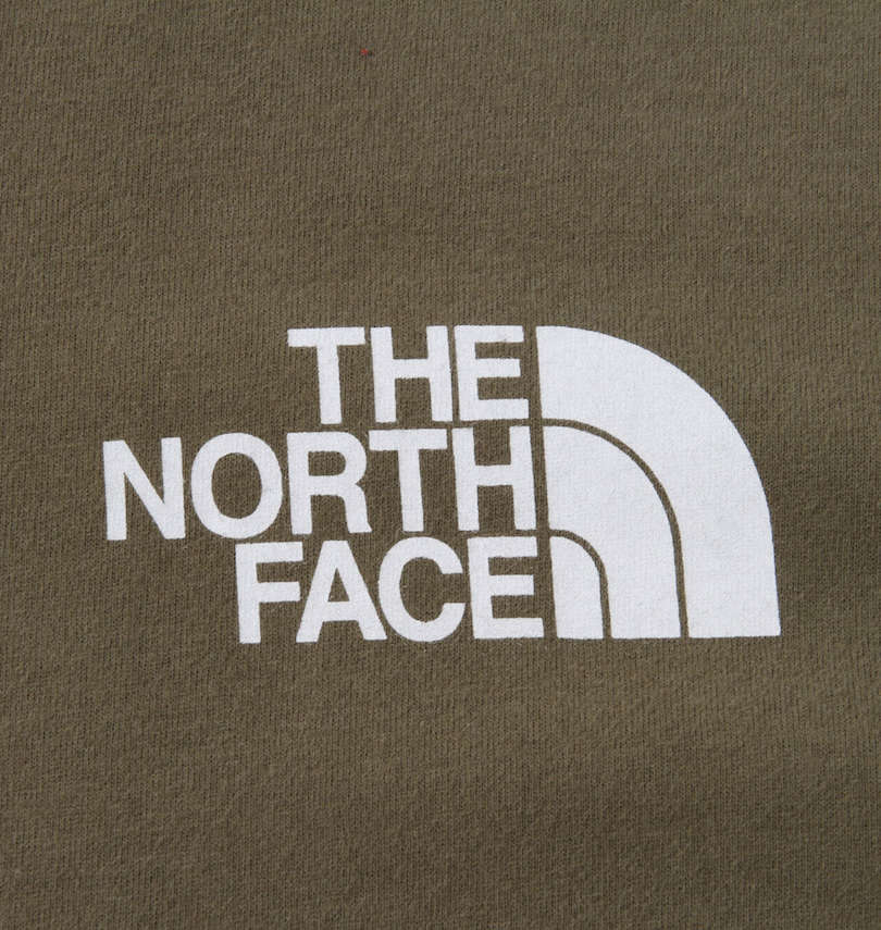 大きいサイズ メンズ THE NORTH FACE (ザ・ノース・フェイス) 長袖Tシャツ 左胸プリント