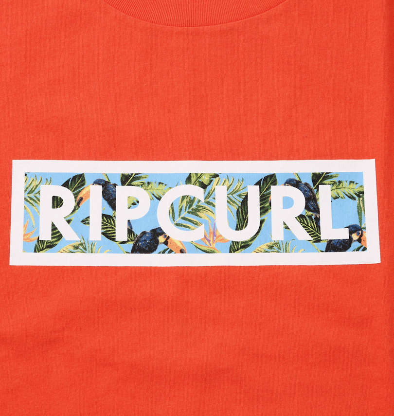 大きいサイズ メンズ RIP CURL (リップカール) BARBOSA BOX半袖Tシャツ フロントプリント