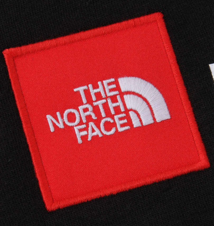 大きいサイズ メンズ THE NORTH FACE (ザ・ノース・フェイス) プルパーカー アップリケ