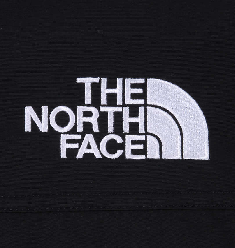 大きいサイズ メンズ THE NORTH FACE (ザ・ノース・フェイス) ダウンジャケット 刺繍