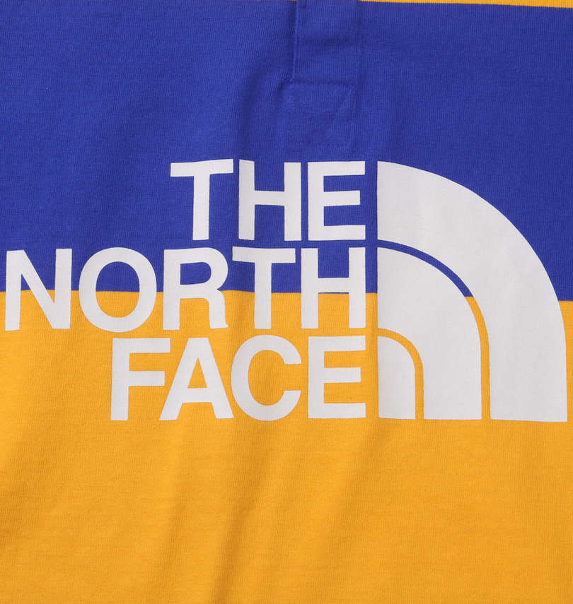 大きいサイズ メンズ THE NORTH FACE (ザ・ノース・フェイス) 長袖ラガーシャツ プリント拡大