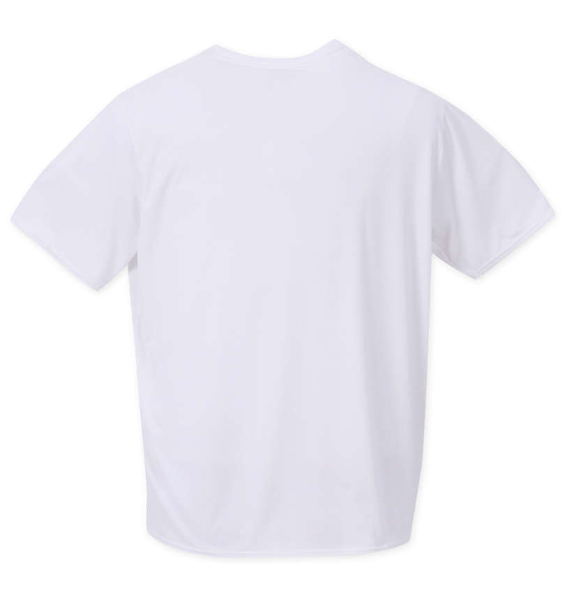 大きいサイズ メンズ patagonia (パタゴニア) 半袖Tシャツ バックスタイル