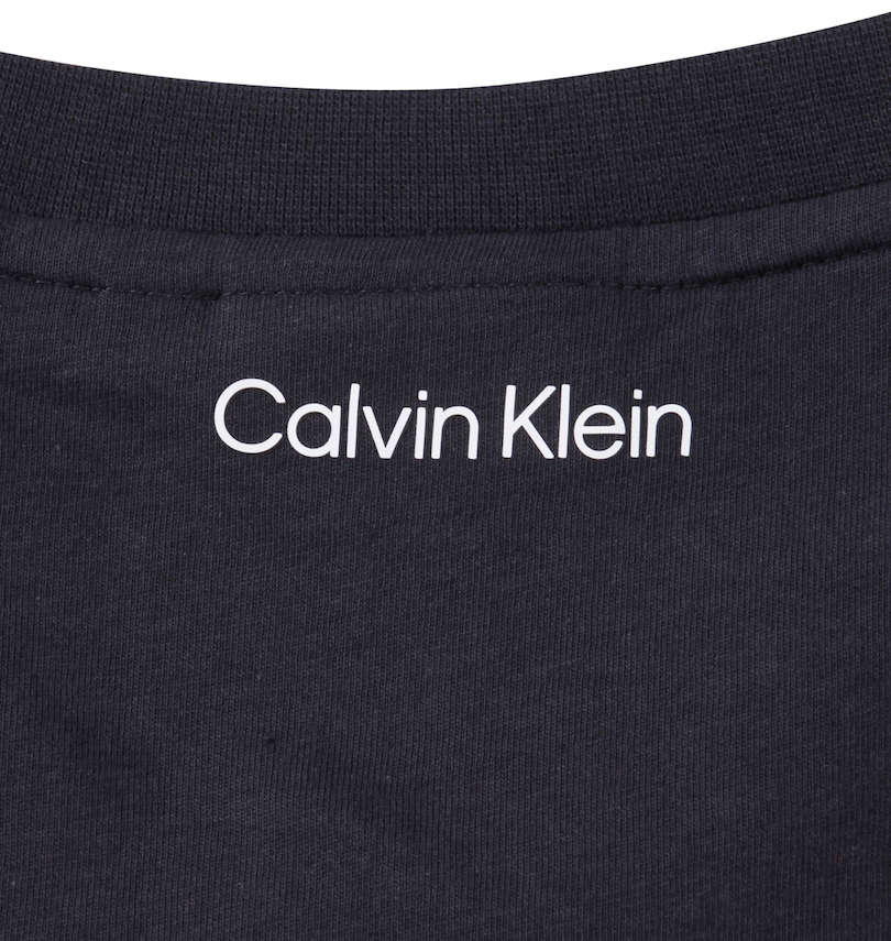 大きいサイズ メンズ CALVIN KLEIN (カルバンクライン) 半袖Tシャツ バックプリント