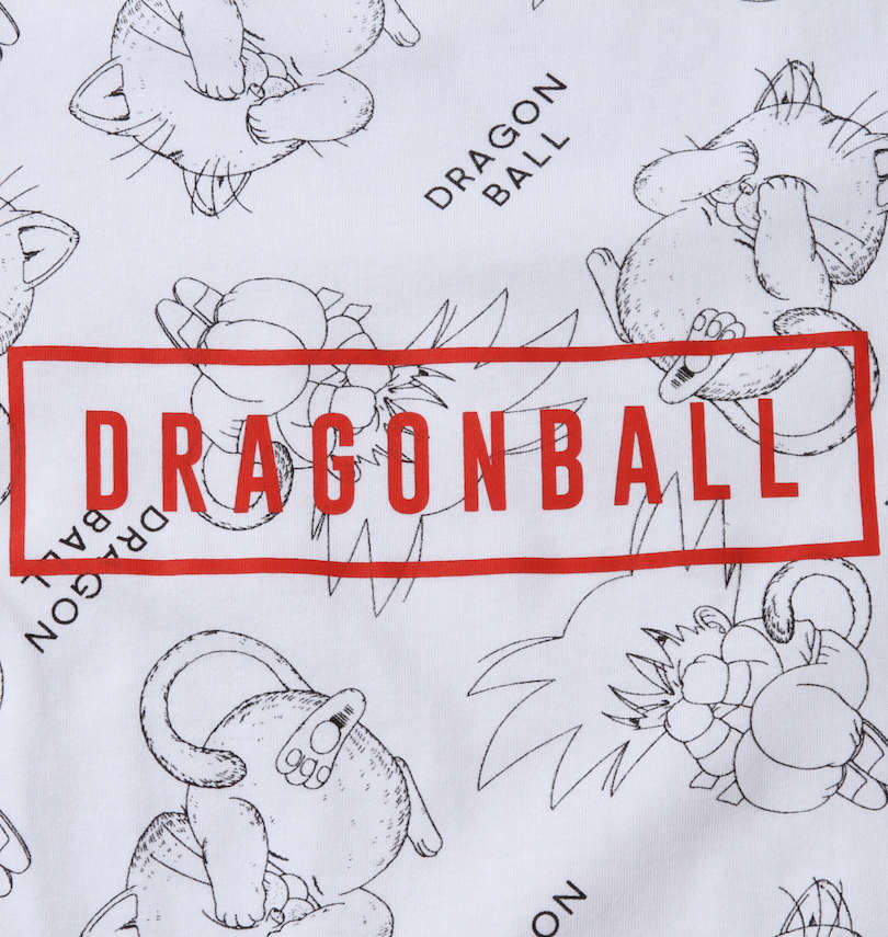 大きいサイズ メンズ DRAGON BALL (ドラゴンボール) カリン様&悟空総柄半袖Tシャツ
                        フロントプリント