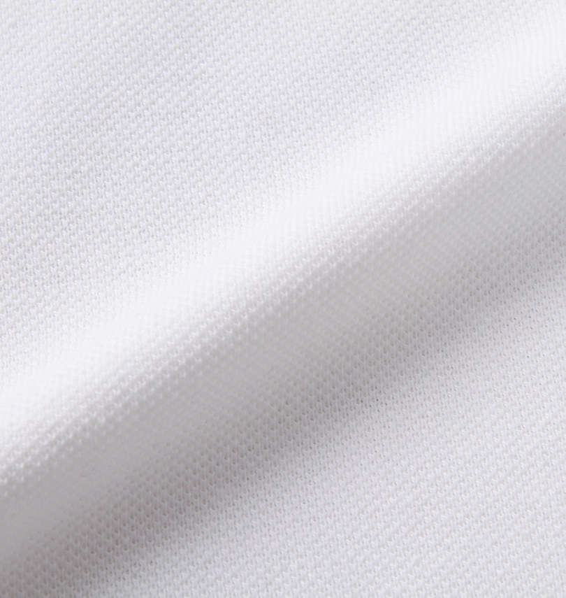 大きいサイズ メンズ SHELTY (シェルティ) 鹿の子ボタニカルフェイクレイヤード半袖ポロシャツ
                        生地拡大