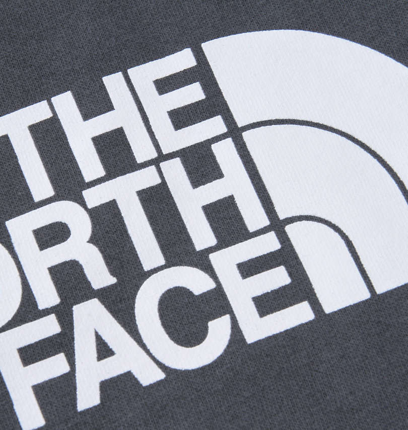 大きいサイズ メンズ THE NORTH FACE (ザ・ノース・フェイス) バックボックスロゴプルパーカー プリント拡大