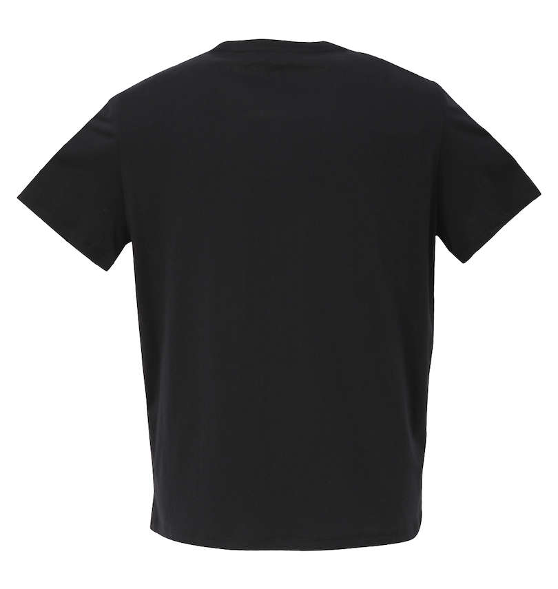 大きいサイズ メンズ ARMANI EXCHANGE (アルマーニエクスチェンジ) Tシャツ バックデザイン