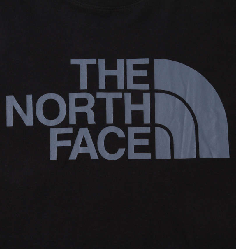 大きいサイズ メンズ THE NORTH FACE (ザ・ノース・フェイス) Tシャツ プリント拡大