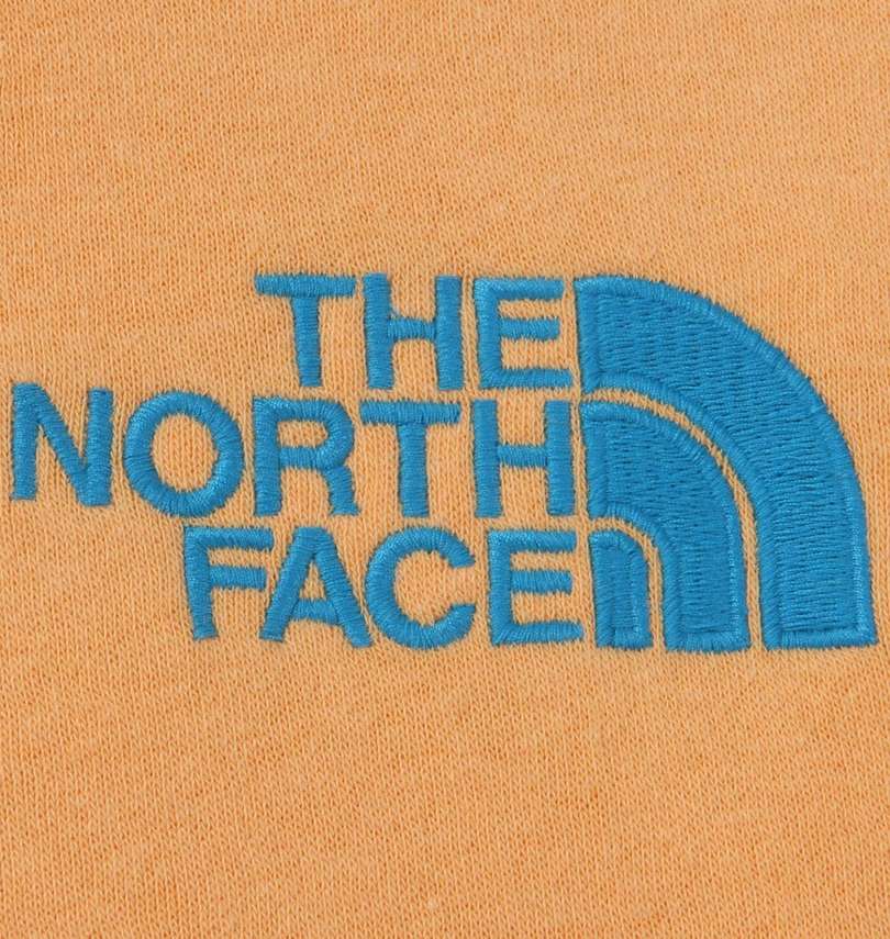 大きいサイズ メンズ THE NORTH FACE (ザ・ノース・フェイス) プルパーカー 胸刺繍拡大