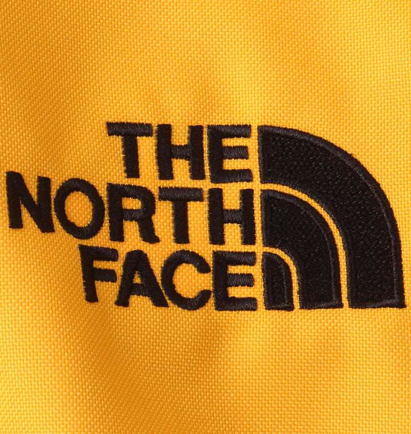 大きいサイズ メンズ THE NORTH FACE (ザ・ノース・フェイス) バックパック 刺繍