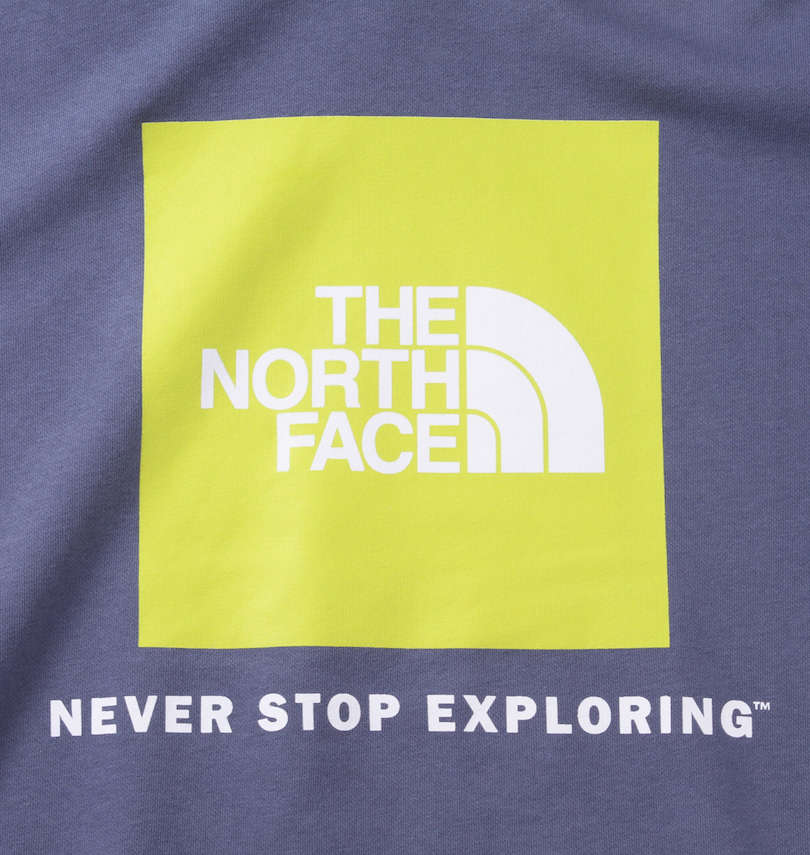 大きいサイズ メンズ THE NORTH FACE (ザ・ノース・フェイス) バックボックスロゴプルパーカー バックプリント