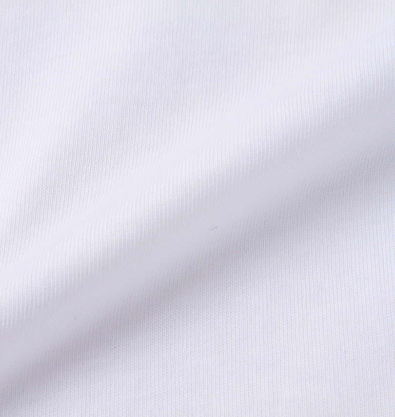 大きいサイズ メンズ PSYCHO BUNNY (サイコバニー) フード付き長袖Tシャツ 生地拡大