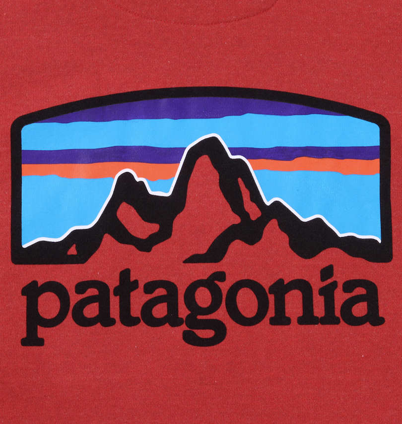 大きいサイズ メンズ PATAGONIA (パタゴニア) プルパーカー プリント拡大