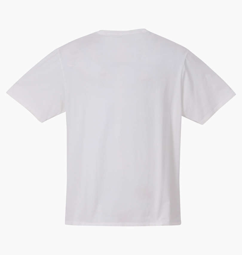 大きいサイズ メンズ PATAGONIA (パタゴニア) 半袖Tシャツ バックスタイル