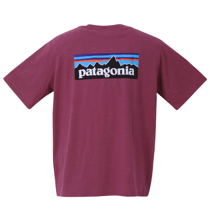 大きいサイズ メンズ PATAGONIA (パタゴニア) 半袖Tシャツ バックスタイル