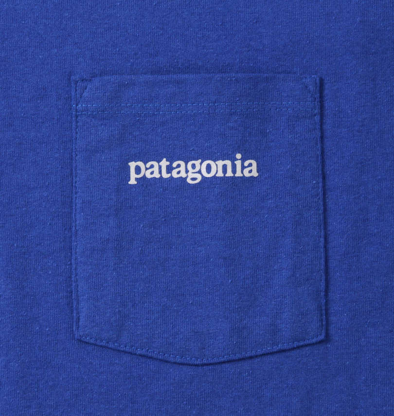 大きいサイズ メンズ PATAGONIA (パタゴニア) 半袖Tシャツ 胸ポケット
