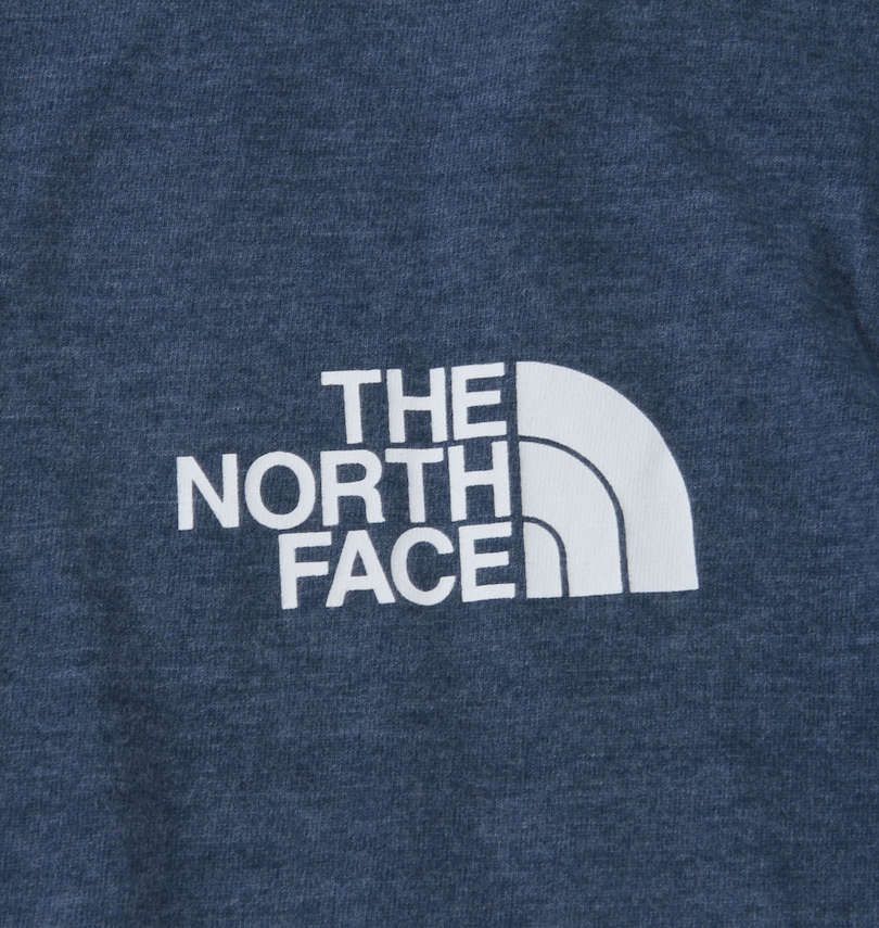 大きいサイズ メンズ THE NORTH FACE (ザ・ノース・フェイス) 長袖Tシャツ 左胸プリント