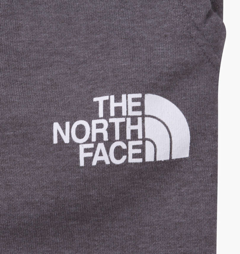 大きいサイズ メンズ THE NORTH FACE (ザ・ノース・フェイス) ジョガーパンツ プリント拡大