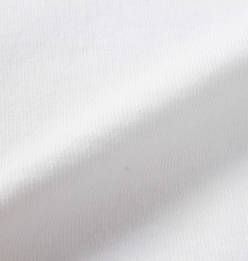 大きいサイズ メンズ SHELTY (シェルティ) リゾート柄スーベニア刺繍半袖Tシャツ 生地拡大