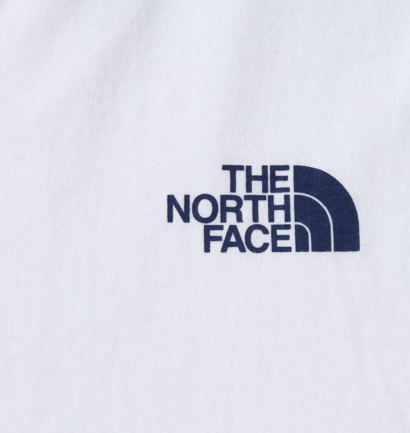 大きいサイズ メンズ THE NORTH FACE (ザ・ノース・フェイス) 半袖Tシャツ バックロゴプリント