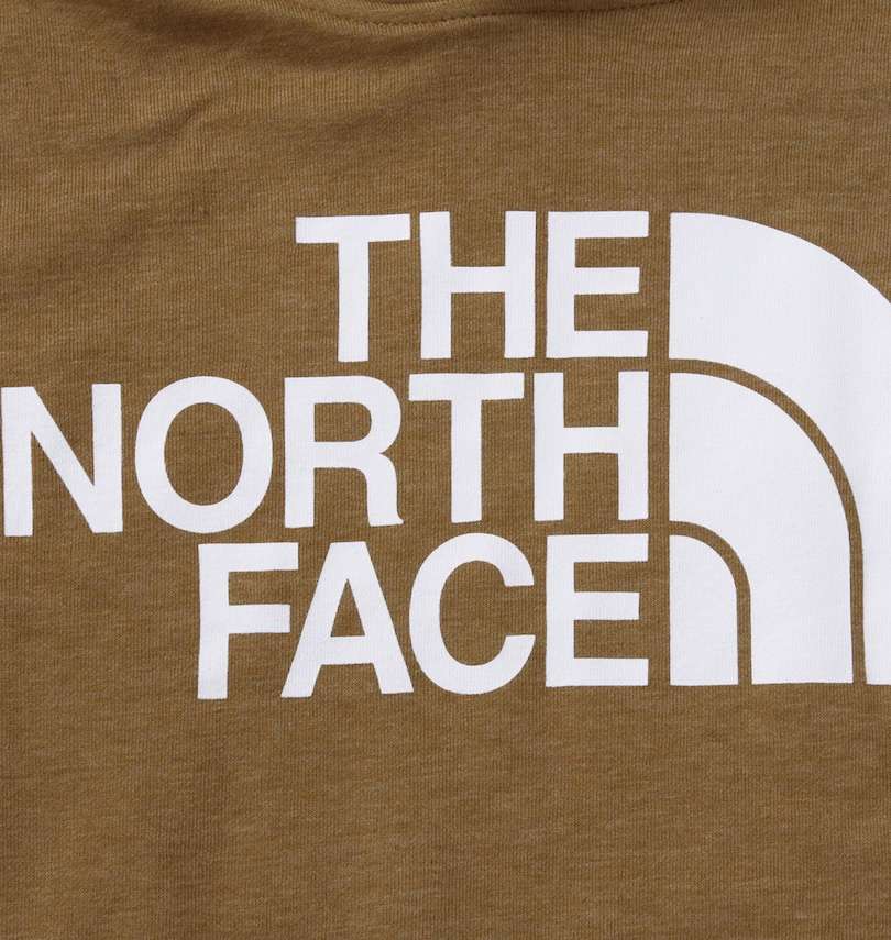 大きいサイズ メンズ THE NORTH FACE (ザ・ノース・フェイス) プルパーカー 