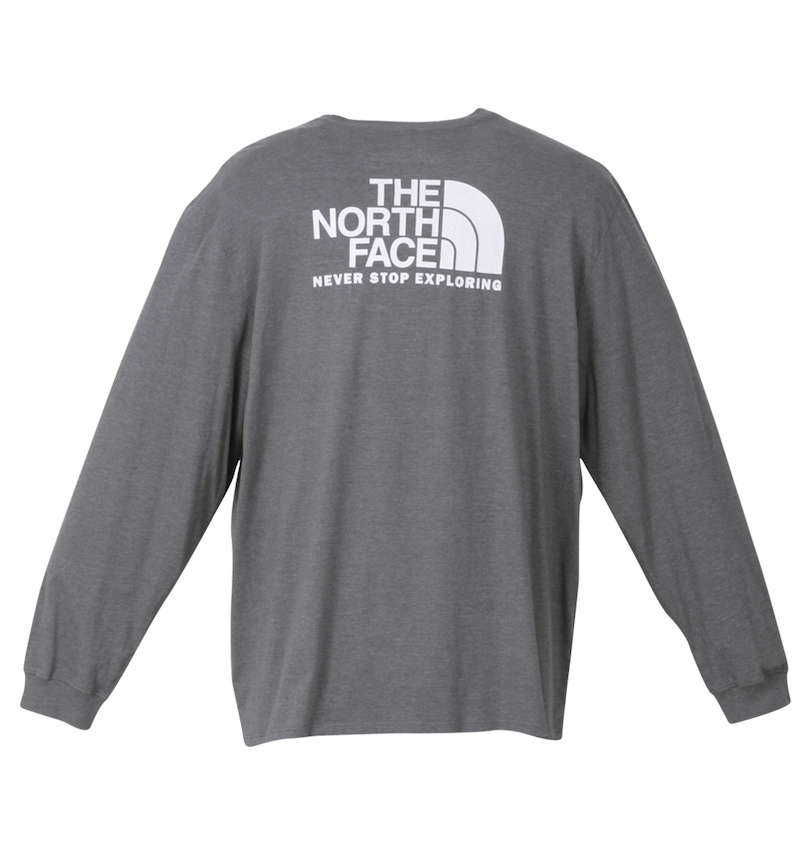 大きいサイズ メンズ THE NORTH FACE (ザ・ノース・フェイス) 長袖Tシャツ バックスタイル