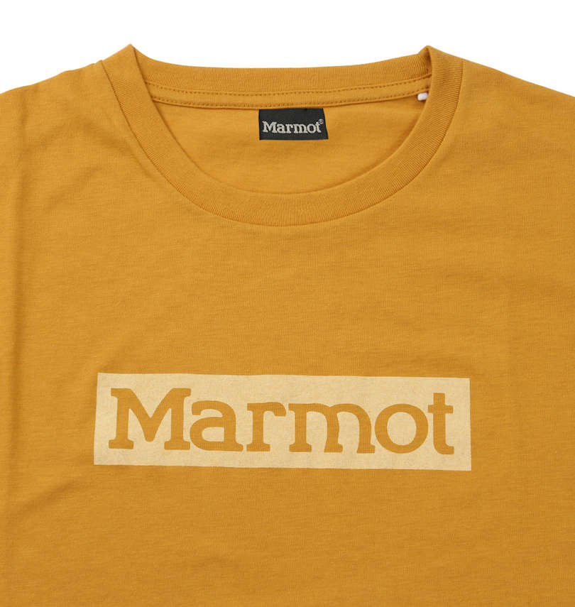大きいサイズ メンズ Marmot (マーモット) スクエアロゴ半袖Tシャツ 