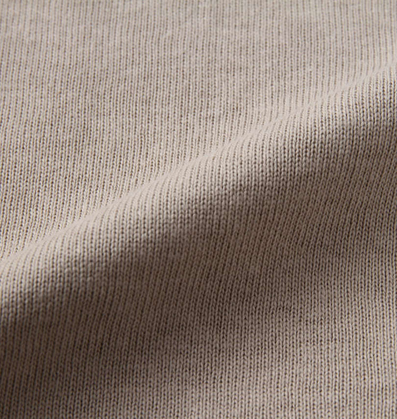 大きいサイズ メンズ BEN DAVIS (ベン デイビス) ミニゴリ刺繍半袖Tシャツ 生地拡大