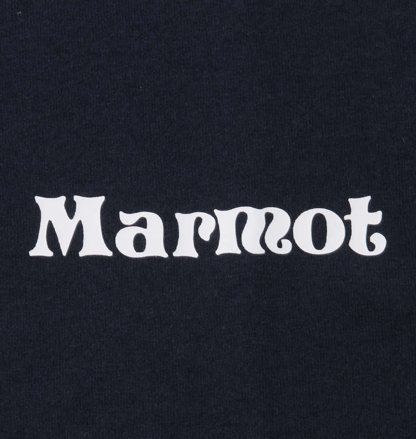 大きいサイズ メンズ Marmot (マーモット) バックスクエアロゴ半袖Tシャツ フロントプリント